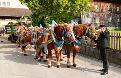 Ferienwohnung Cornelia - Foto 30
