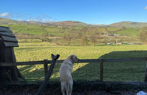 The Retreat - Foto 39