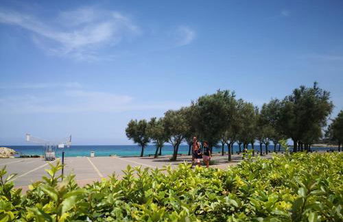 Bay View Apartment - Foto 18