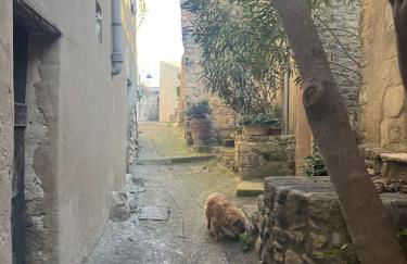 Maison atypique en pleine nature face au Luberon - Foto 36