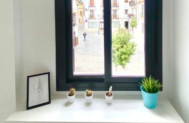 Dúplex Centro Écija - Photo 8