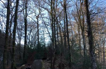 SUPER LIORAN LA MAISONETTE à 5 km de la station - Foto 22