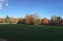 La Chartreuse et son Orangerie - Foto 11