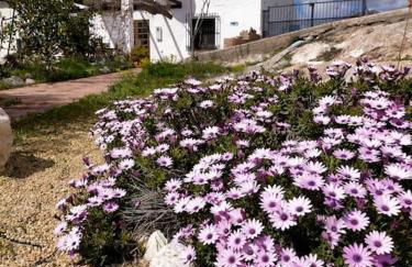 Cortijo Relatillos - Foto 27