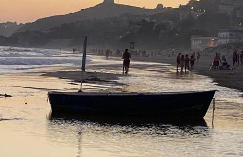 Timone d’oro - Foto 35