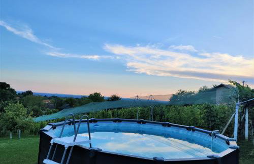 Kuća za odmor Villa Cesarica - Zagreb - Foto 32