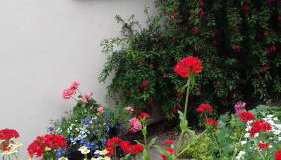 Millwood Cottage - Photo 5, Garden