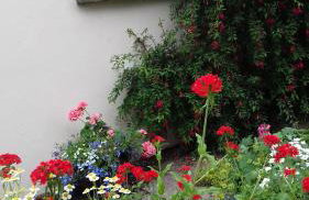 Millwood Cottage - Foto 5