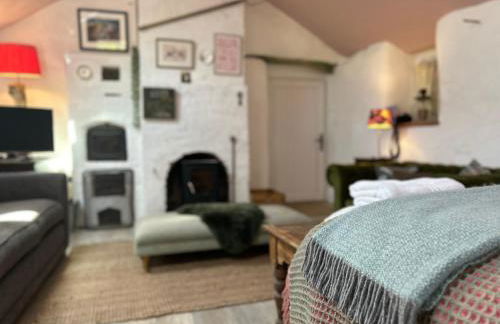 The Bw thyn - Ceredigion - Photo 29