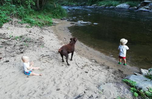 Ferienhof Schmalzgrub - Foto 20