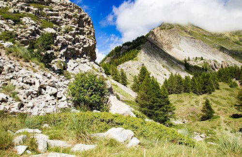 Gites L'épilobe - Foto 10