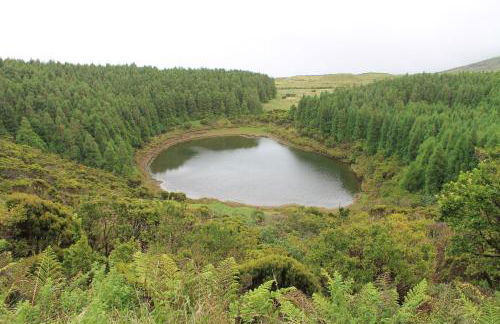 Apartamentos Oliveira - Photo 45