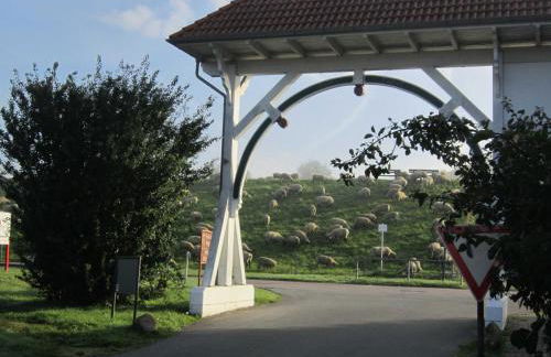 Ferienhaus Scout 42 im Feriendorf Altes Land - Photo 14