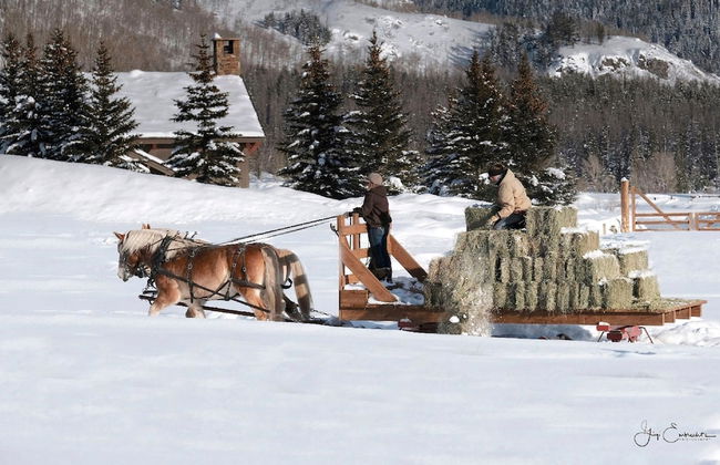 Vista Verde Ranch All-inclusive - Adults Only - Foto 37