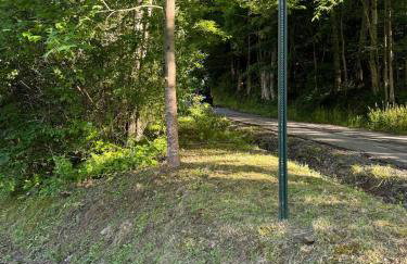 Serene Cabin between Fayetteville& Summerville WV - Foto 31