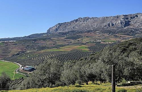 Andalusian Countryside Stay - Foto 20