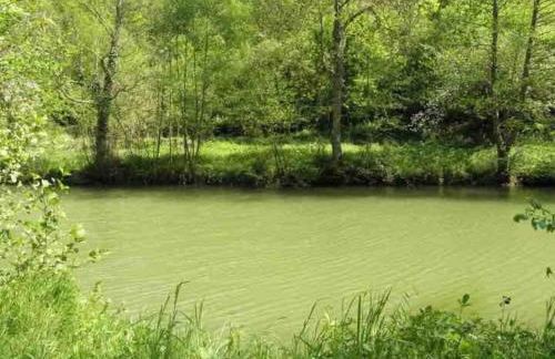 La petite Semuroise - Foto 39