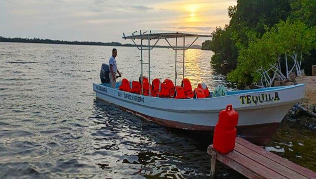 Una experiencia de observación de bioluminiscencia en la Laguna de Manialtepec - Tour nocturno - Foto 2