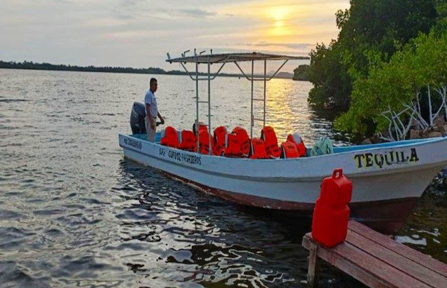 Una experiencia de observación de bioluminiscencia en la Laguna de Manialtepec - Tour nocturno - Foto 2