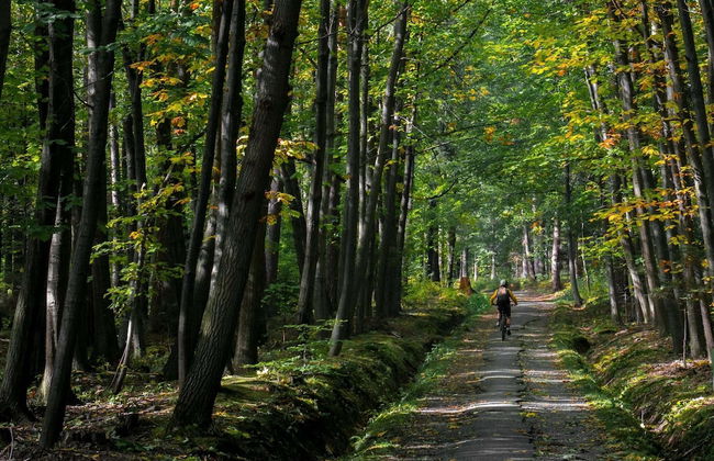 Ovifat Sauna Escape, Waimes - Photo 50