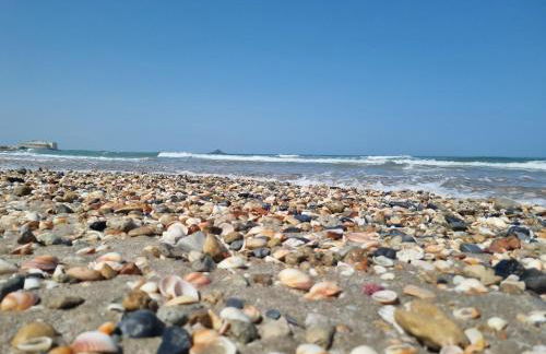 Apartament Carina - Foto 58