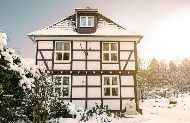 Cosy Apartment in Harz - Foto 11