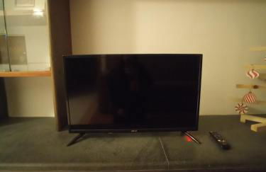 la gerbera - Foto 14