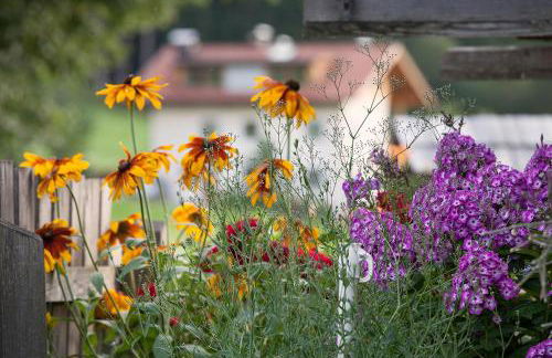 Hölzlhof - Photo 31