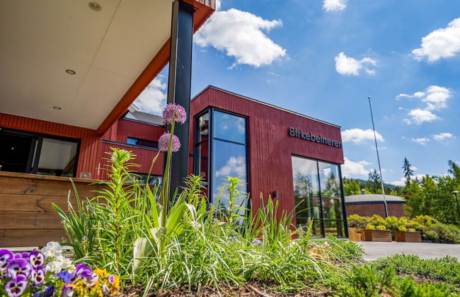 Birkebeineren Apartments - Foto 19