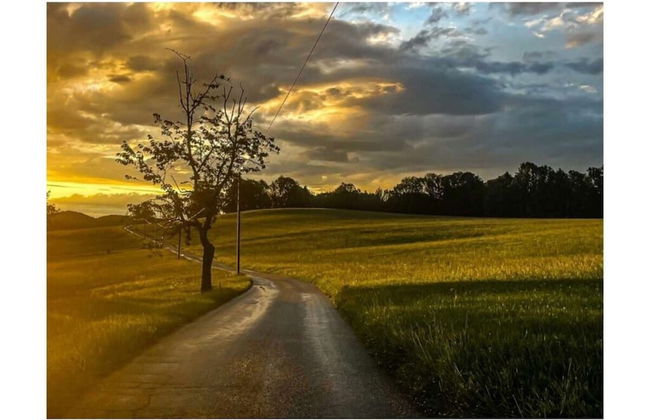 Kehlpoint Comfortable Holiday Residence - Photo 13