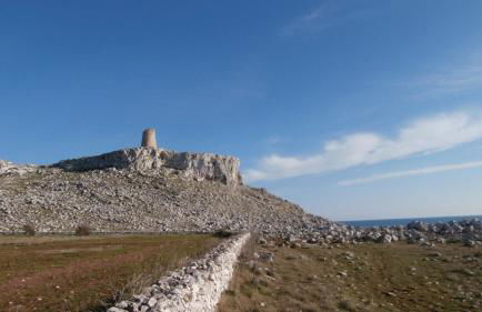 Fata Morgana - Foto 38