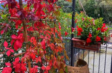 La Villetta - Foto 11