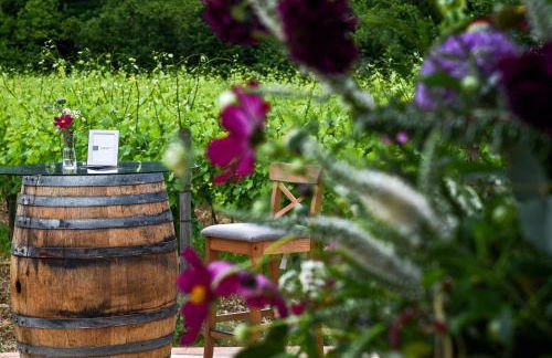 Agriturismo Guerritore - Foto 9