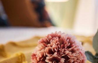 Elegante bilocale con vista mare e parcheggio - Foto 20