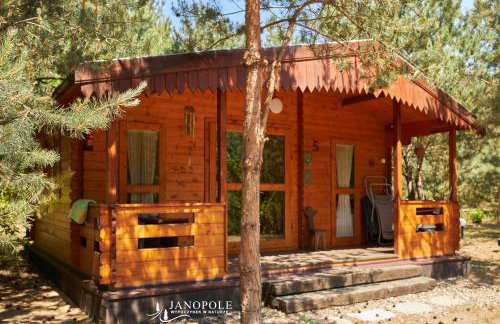 Siedlisko Janopole - Foto 31