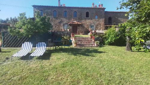 Poderino La Noce - Foto 4, Garden, sunbed, Garden view