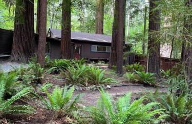 The Groves at Redway Beach - Studio - Foto 39