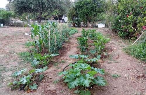 Coastal Haven Your Oasis by the Sea - Foto 19