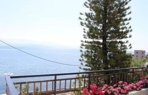 5 meters from the beach - Foto 12