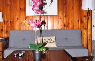 Rare River Views & Access, Cabin by Eden Islands - Foto 22