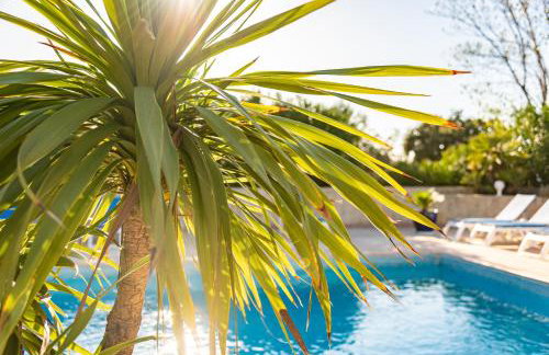 Résidence Spelonca - Foto 17