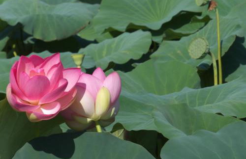 Halloggio98 - Foto 33