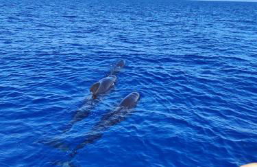 Studio avec rez de jardin - Foto 20