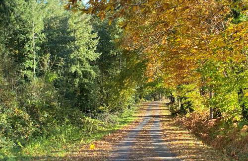 Belle Vue Gite - Foto 37