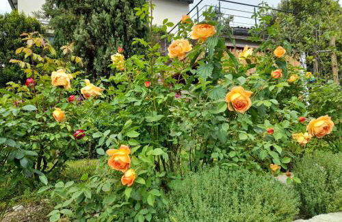 Chez Anne et Aimé - Foto 11