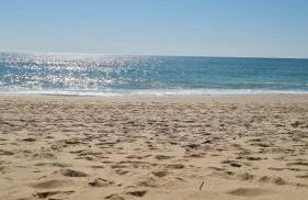 Domaine d'Annégré - Foto 20