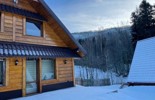 Domek OlimpijSki SZCZYRK - Foto 18