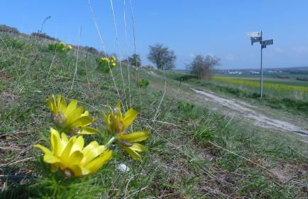 Maisonette im Fachwerkhaus - Foto 34