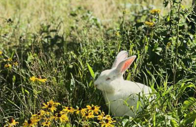 Baker Rocks - Photo 36