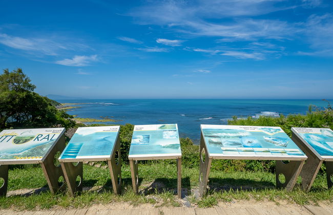 Le Fronton - Foto 23